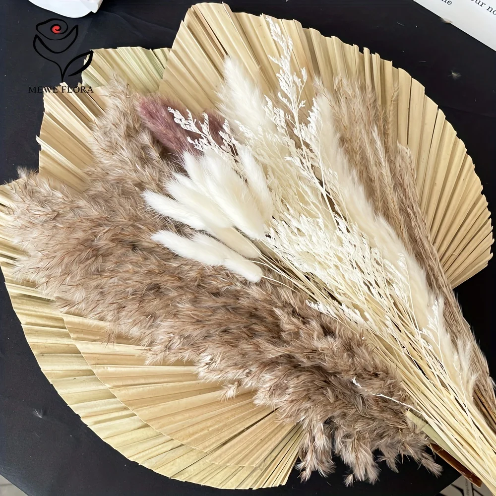 35Pcs Naturalna trawa pampasow – Pampas Grass Decor recenzja i cena