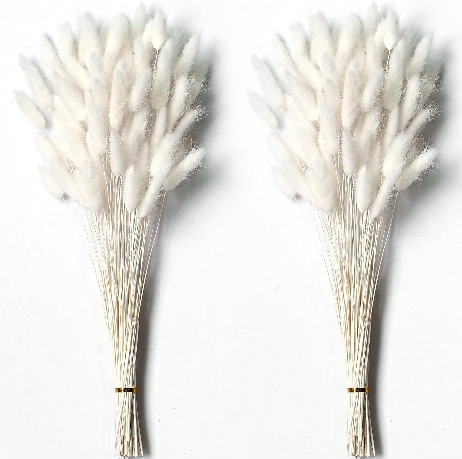120 SZT. Suszone Kwiaty Pampas – Pampas Grass Decor recenzja i cena